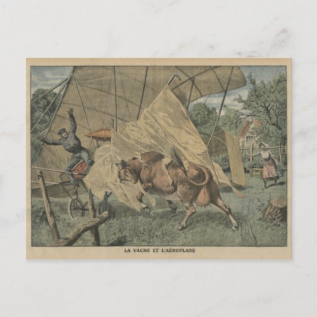Carte Postale La vache et l'avion (Devant)