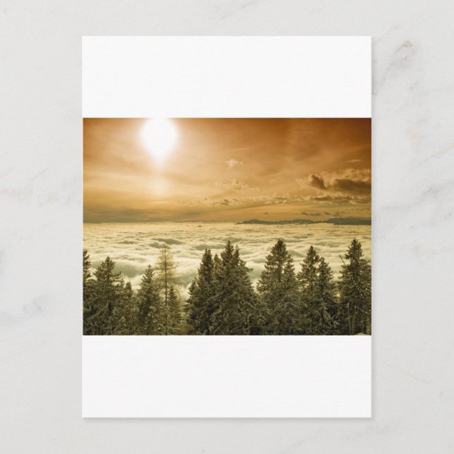 Carte Postale La vallée de Foggy (Devant)