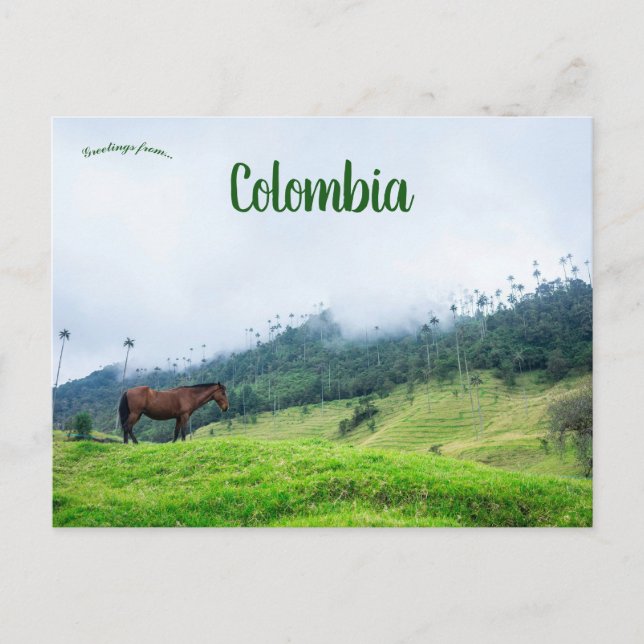 Carte Postale La vallée de la Cocora en Colombie (Devant)