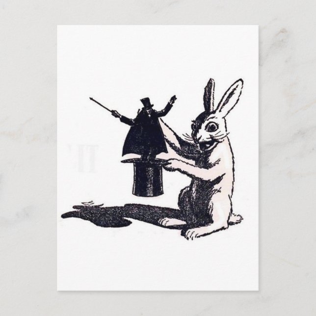 Carte Postale La vengeance du lapin (Devant)
