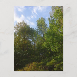 Carte Postale La verdure