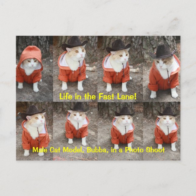 Carte Postale La vie dans la voie rapide! (Devant)