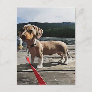 Carte Postale La Vie De Dachshund Est Meilleure Avec L'Anniversa