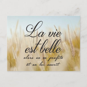 Carte Postale La vie est belle
