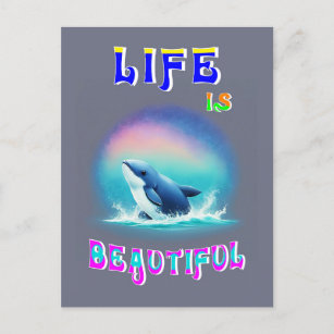 Carte Postale La vie est belle Hermanus Afrique Septembre Balein
