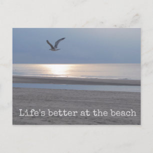 Carte Postale La vie est meilleure à la plage - Fun Quote Postca