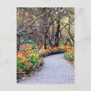 Carte Postale La vie est un voyage