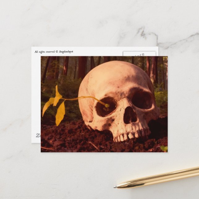 Carte Postale La vie et la mort (Devant/Arrière en situation)