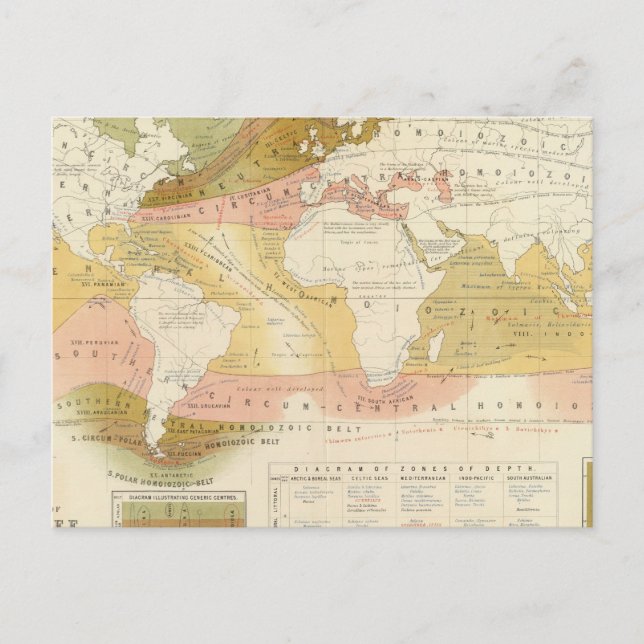 Carte Postale La vie marine (Devant)