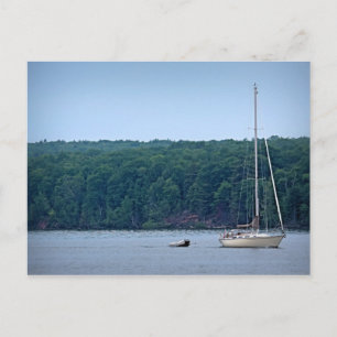 Carte Postale La vie nautique