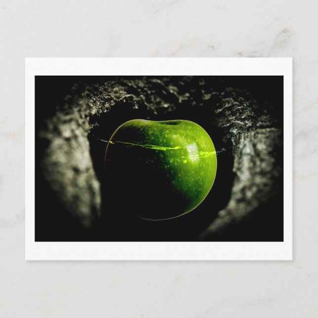 Carte Postale la vie sur la pomme (Devant)