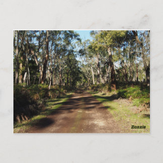 Carte Postale La voie à suivre