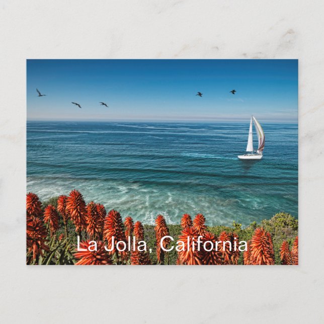 Carte Postale La voile à La Jolla (Devant)