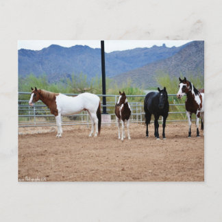 Carte Postale La vue