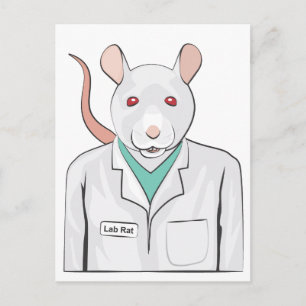 Carte Postale Lab Rat