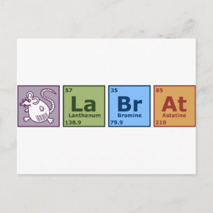 Carte Postale Lab Rat