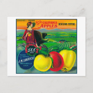 Carte Postale Label Apple Crate de J.M.L. Watsonville, CA