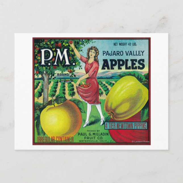 Carte Postale Label Apple Crate P.M. Watsonville, CA (Devant)