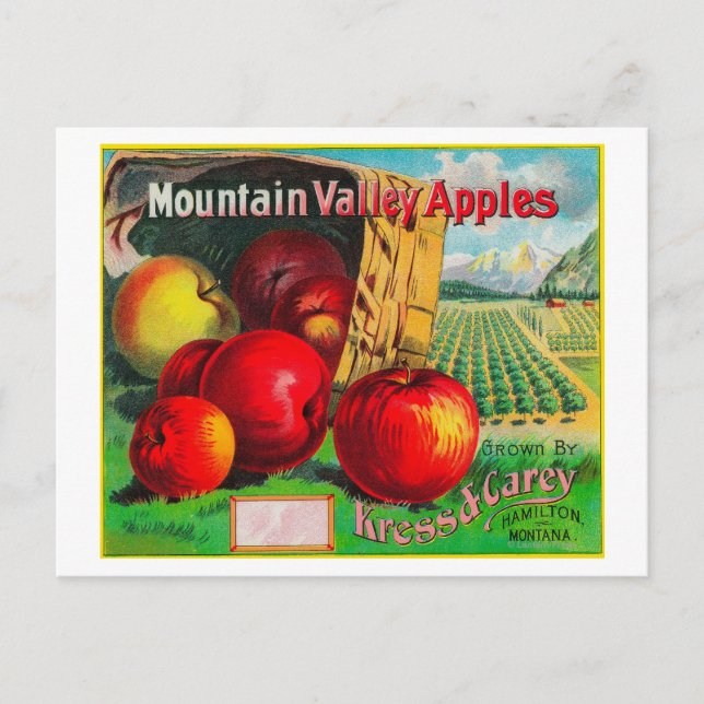 Carte Postale Label Apple Mountain ValleyHamilton, MT (Devant)