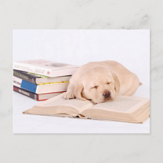 Carte Postale Laboratoire de couchage (Devant)