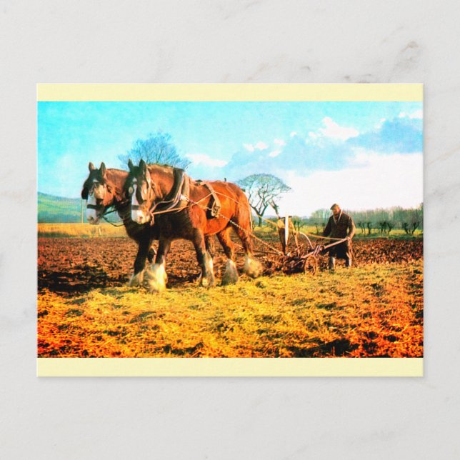 Carte Postale Labour agricole ancien (Devant)