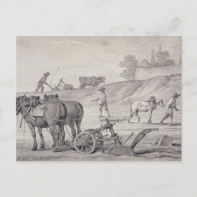 Carte Postale Labourage des champs (Devant)