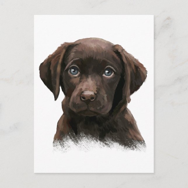 Carte Postale Labrador chocolat (Devant)