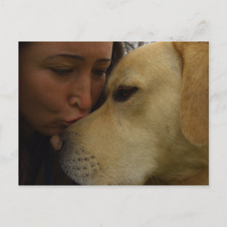 Carte Postale Labrador Love