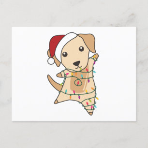 Carte Postale Labrador Noël Neige Animaux d'hiver Chiens