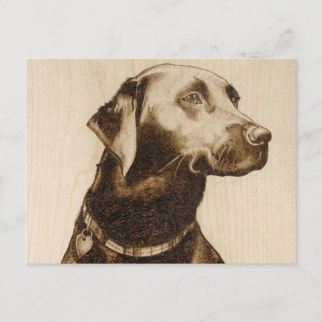 Carte Postale Labrador noir (Devant)