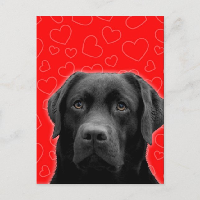 Carte Postale Labrador noir avec Coeurs rouges (Devant)
