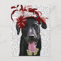 Labrador Noir Avec Fascinateur Rouge