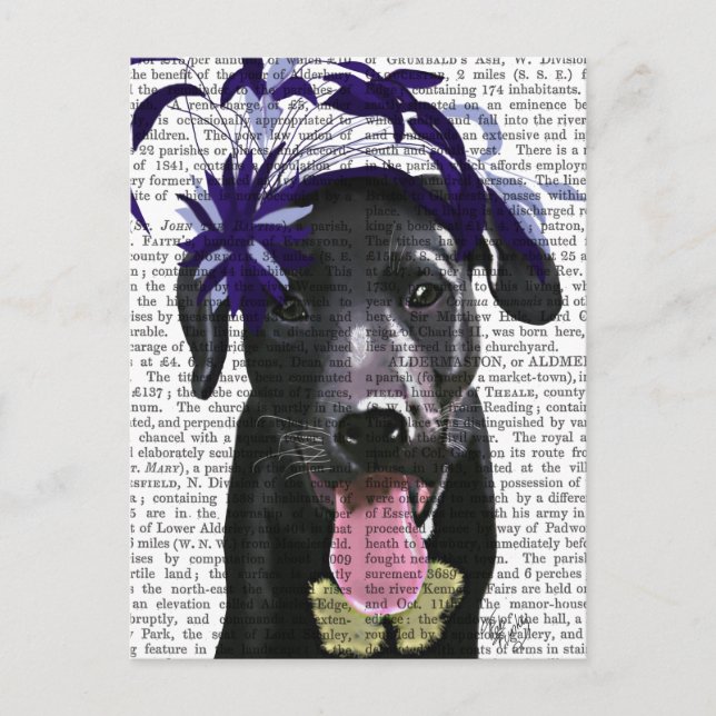 Carte Postale Labrador Noir avec ventilateur bleu (Devant)