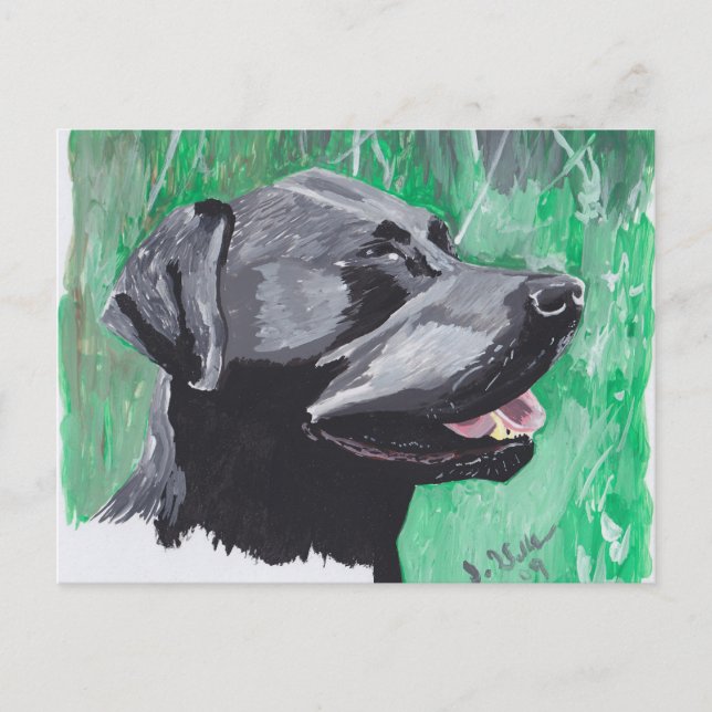 Carte Postale Labrador Retriever (Devant)