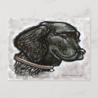 Carte Postale Labrador Retriever