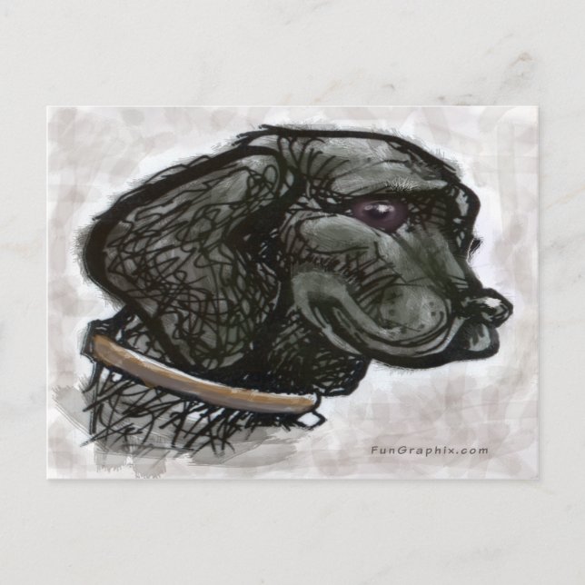 Carte Postale Labrador Retriever (Devant)