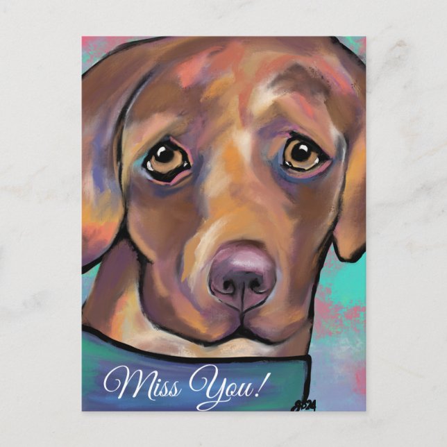 CARTE POSTALE LABRADOR RETRIEVER            (Devant)