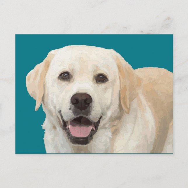Carte Postale Labrador retriever 1 (Devant)