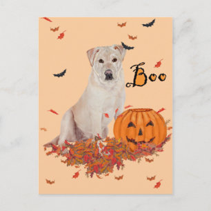 Carte Postale Labrador Retriever jaune Halloween