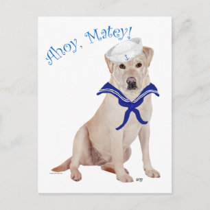 Carte Postale Labrador Retriever Jaune Marin