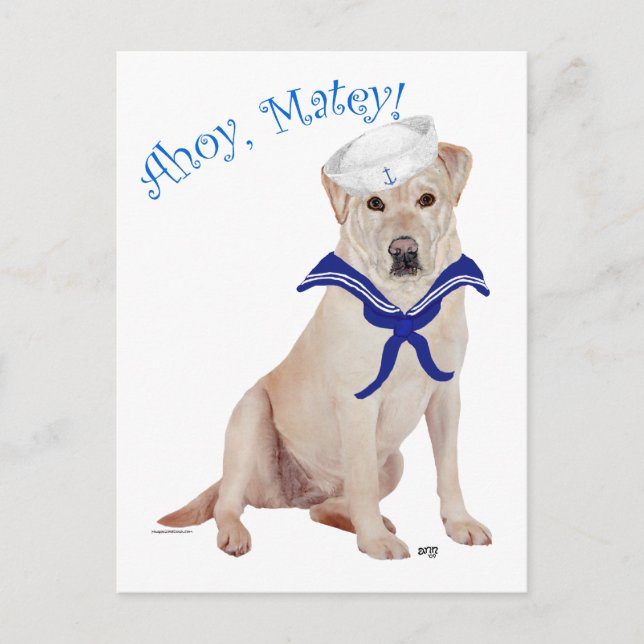 Carte Postale Labrador Retriever Jaune Marin (Devant)