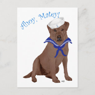 Carte Postale Labrador Retriever marron au chocolat