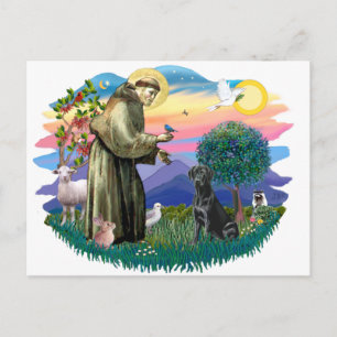 Carte Postale Labrador Retriever (noir)