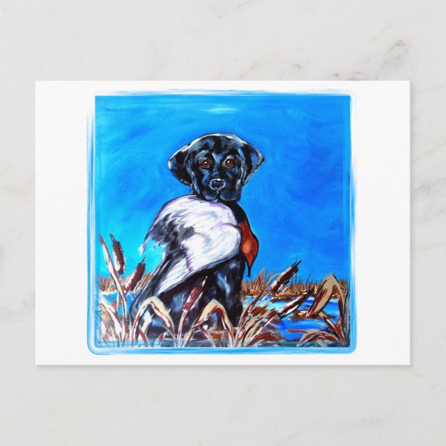 CARTE POSTALE LABRADOR RETRIEVER NOIR (Devant)
