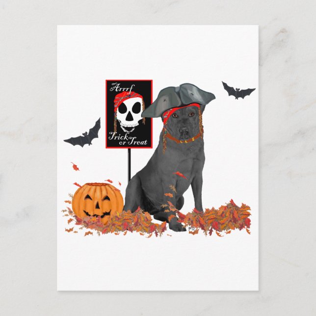 Carte Postale Labrador Retriever noir pirate (Devant)