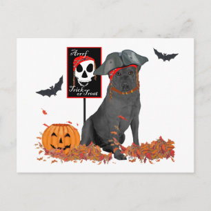Carte Postale Labrador Retriever noir pirate