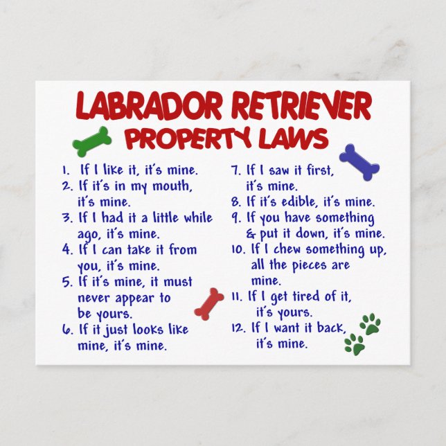 Carte Postale LABRADOR RETRIEVER Property Laws (Devant)