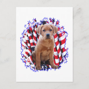 Carte Postale Labrador Retriever (rouge) Patriot