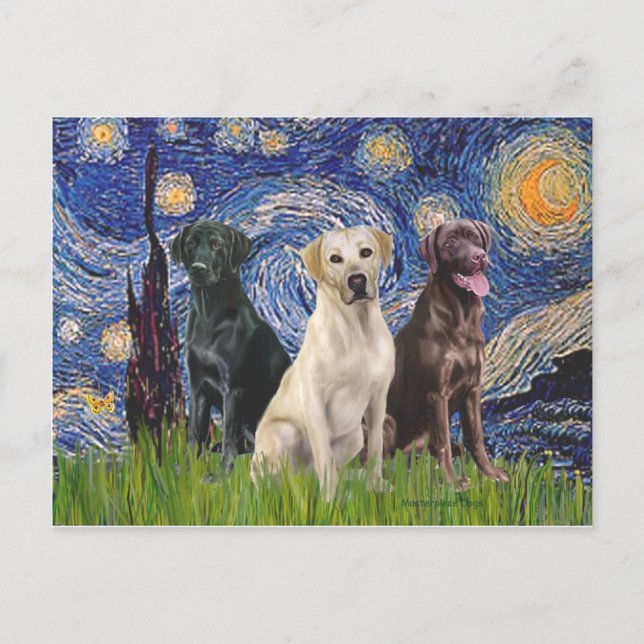 Carte Postale Labradors (3) - Nuit étoilée (Devant)