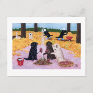 Carte Postale Labradors Automne Amusement
